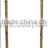 U-hoop Bamboo Poles Baoboo Canes for Agriculture thumbnail-4