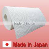 Kitchen Items / Kitchen Paper Roll thumbnail-1