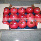 2014 Hot Selling OEM Available Food Grade Thermoformed PP Plastic Trays for Apple thumbnail-4