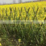 Wholesale Natural Straight Bamboo Poles thumbnail-2
