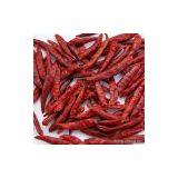 Sell Hebei Small Chili (Chaotian Chili) thumbnail-1