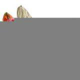 Sell Ladies' Spring Scarfs thumbnail-1