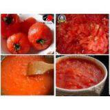 Good Mouthfeel High Quality Tomato Paste Ketchup thumbnail-3
