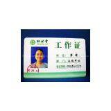 ID Cards thumbnail-3