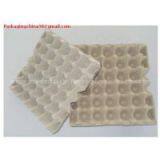 egg tray-egg carton egg box