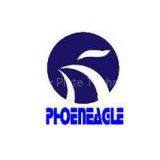 Anhui Phoenix Plate Technology Co.,Ltd company overview - view 1 thumbnail