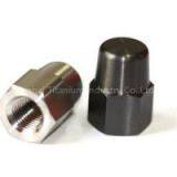 Titanium Cap Nuts
