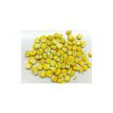 Sell Freeze Dried Sweet Corn thumbnail-1
