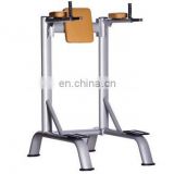 Vertical knee raise:W9827 one-station commercial strength equipment/ body building gym equipments
