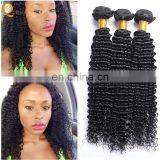 Grade 8a Brazilian Hair Different Types Of Curly Weave Hair Wholesale Hair Bundle