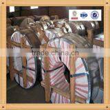 Steel Strip for Blades thumbnail-3