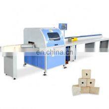 2022 Cut Panel Saw Sliding Table Saw Woodworking Machine Sliding Panel Saw thumbnail-2
