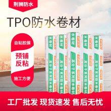High Quality TPO Waterproof Coiled Material
