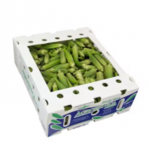 Reusable Corrugated Plastic Foldable Boxes – Eco-Friendly Okra Transport Solutions