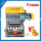 Industrial Automatic Orange Juicer
