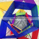 Lotus Kite