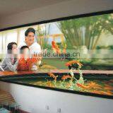 rear projection screen