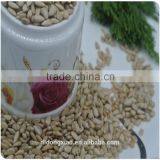 Sunflower Seeds Oil Price Bulk thumbnail-4