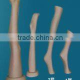 Realistic Leg Mannequins for Hose and Sock Display