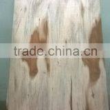 Eucalyptus Core Veneer A Grade Core Veneer 1.6mm - 2.4mm, 100% Grade a thumbnail-3