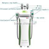 50 / 60Hz Hot Selling Multi-funtional Big Stainless Steel Treatment Head Ultrasonic Cryolipolysis Slimming Machine Zeltiq thumbnail-3