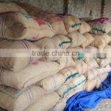 Round Red Chilles thumbnail-4