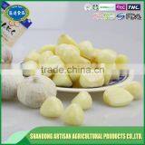 Fresh Garlic Clove thumbnail-1