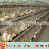 design layer chicken cages for Africa poultry farm