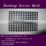 Plastic Square Flat Mesh/Square Plastic Mesh(China Factory) thumbnail-5