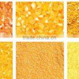 Small Size Flour Mill Manufacturers Maize Flour Milling Machines for Corn Flour Milling Plant thumbnail-4