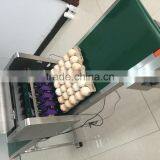 Solvent Inkjet Printing Machine/egg Printer thumbnail-1
