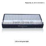 Gaea Horticulture 1200W LED Grow Light Red And Blue LED Light thumbnail-4