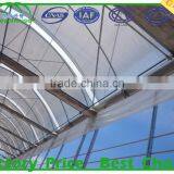 Vegetable Seeds Greenhouse thumbnail-1