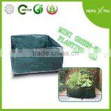 PE Planting Bag thumbnail-3