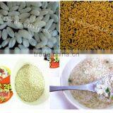 Instant Rice/Nutritional Rice Food Processing Equipment thumbnail-1