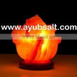 CRAFTED SALT LAMP thumbnail-1