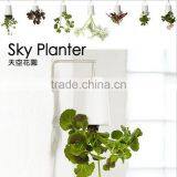 Plastic Sky Planter Creative Decorative Home Mini Sky Garden Flower Pot Beauty Sky Planter thumbnail-1