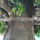 SJ2001007 Factory Make Huge Giant Large Decorative Fake Outdoor Artificial Banyan Ficus Tree for Decoration thumbnail-5