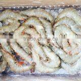 Frozen White Shrimp Vannamei Shrimp Hoso thumbnail-5