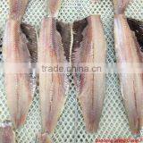 Seafood Frozen Wild Herring Fillet thumbnail-1