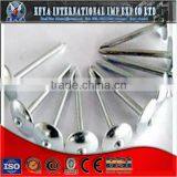 UMBRELLA HEAD SCREW ROOFING NAIL thumbnail-1