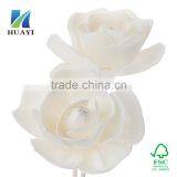 Sola Flower thumbnail-1