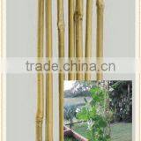 Dyed Beautiful Colors Nature Bamboo Flower Sticks,bamboo Garden Sticks for Agriculture /decoration/garden thumbnail-2