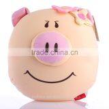 Funny Pig Design Embroidered Polyester Pillow thumbnail-1