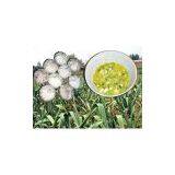 Sell Mashed Garlic thumbnail-1