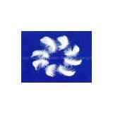 Washed White Duck Feather thumbnail-2