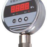 LD194A, LD194R, LD194E Digital Pressure Gauge 100nn LED Display