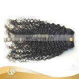 2015 Hot Sale Wet And Wavy Brazilian Hair Kinky Curly Virgin Hair thumbnail-3