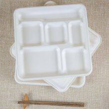 White Compostable Bagasse Food Tray Eco Friendly Food Tray thumbnail-1