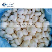 Sinocharm New Season Fresh IQF Peeled Water Chestnut Frozen Whole Water Chestnut thumbnail-3